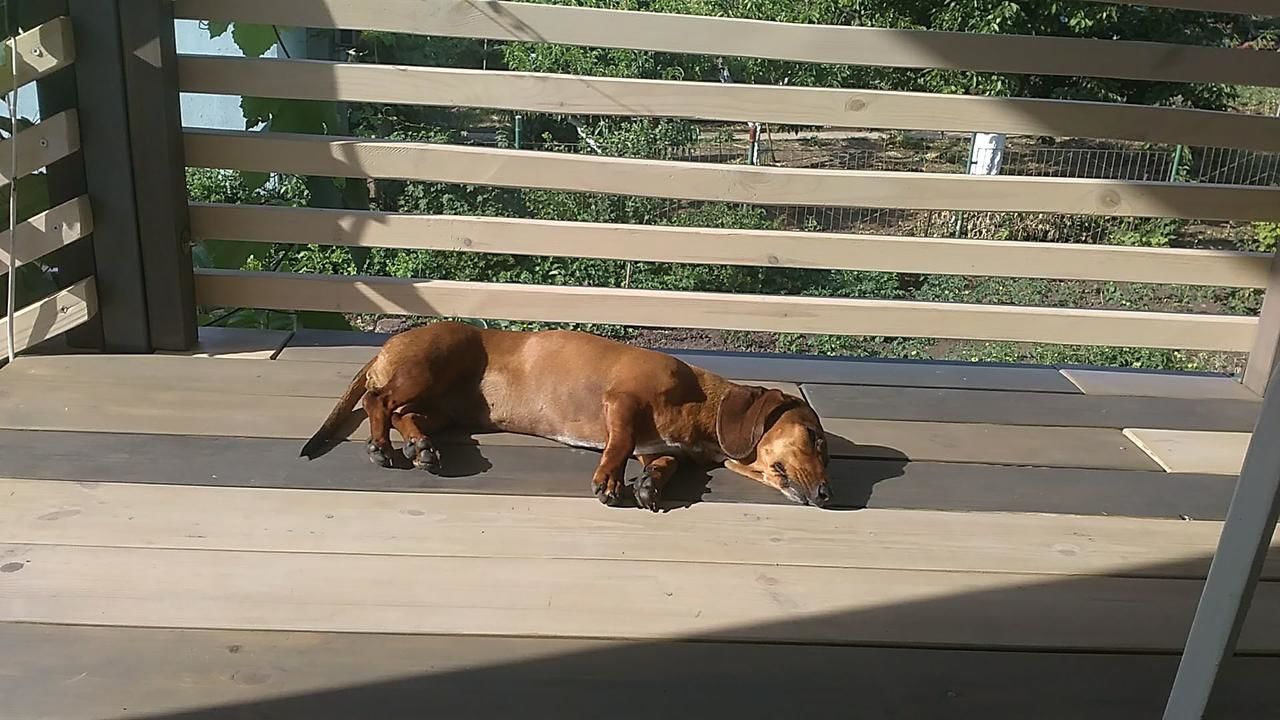 Гостевой дом Guest House Serena Черноморск-35