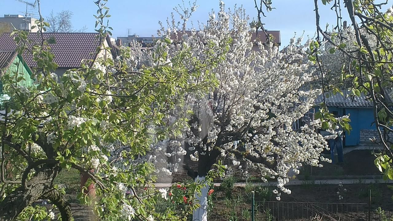 Гостевой дом Guest House Serena Черноморск-37