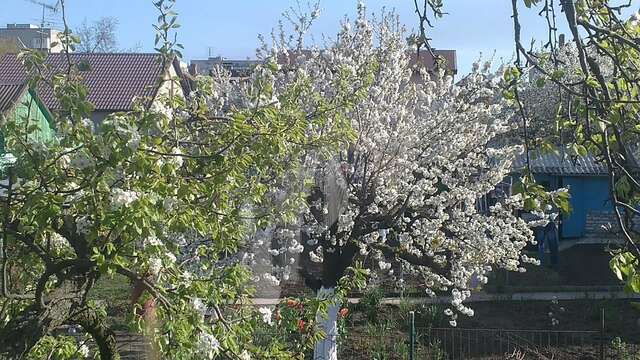 Гостевой дом Guest House Serena Черноморск-36